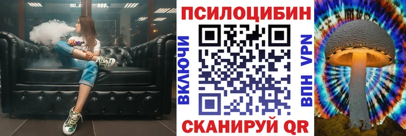 kraken ONION  площадка как зайти  Псилоцибиновые грибы прущие грибы  Заречный 